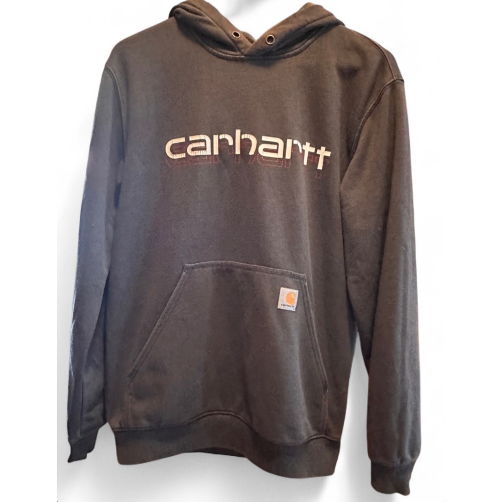 Carhartt Mens Loose Fit Graphic Hoodie Gray Sweatshirt TS5679-M Size Small